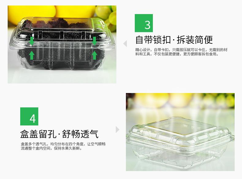 蓝莓盒125克-详情页_06.jpg