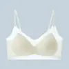 Comércio Transfronteiriço Mais Vendido Lingerie Especial Sem Costura com Efeito Base, Camisola Push-Up para Mulheres, Sem Fio, Anti-Queda, Não Transparente, Lindo Design nas Costas