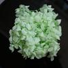 Hortensia Inmortal a Granel Hortensia Anna a Granel Pétalo Flor Seca Flor Inmortal Material Hecho a Mano Decoración Accesorios de Regalo