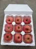 [Rayas de Nieve Ligera] Manzana Auténtica de Yantai Qixia Red Fuji Crujiente Dulce Fruta Fresca Caja Completa Directamente del Origen