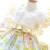 Ropa para mascotas ropa para perros ropa para gatitos primavera y verano linda princesa Lolita falda flores dopamina