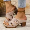 Chinelos de salto plataforma plus size transfronteiriços femininos 2025 verão novo moda estilo europeu e americano casual sandálias de exterior femininas em estoque