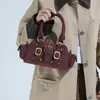 Bolso Pequeño de Moda para Mujer Otoño e Invierno Versátil 2025 Nuevo Bolso Cruzado Retro Bolso de Mano Popular Casual Ins Bolso Almohada