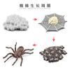 Simulación sólida Araña Naruto ciempiés modelo de insecto juguete para niños mariposa abeja animal decoración bandeja de arena