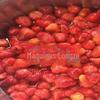 Frutas e vegetais colhedor de açúcar vácuo equipamento de frutas cristalizadas batata-doce seca grande selecionador de açúcar