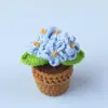 Planta en Maceta de Flor de Nomeolvides de Ganchillo de Lana Hecha a Mano Transfronteriza Adornos Creativos para Escritorio Decoración de Coche Flores Artificiales