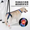 Cinturón de Soporte para Patas Traseras de Mascotas Más Vendido de Amazon, Cinturón de Ayuda para Trepar Perros, Cuerda de Tracción Ajustable al por Mayor