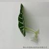 Decoración para mascotas de acuario simulación plantas acuáticas ornamentales paisaje de pecera simulación artificial hojas de Douyu hojas de descanso hojas de desove