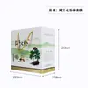 Bolsa de Regalo Neutra para Bolsos Especialidad de Yunnan Wenshan Flor de Panax Notoginseng y Polvo de Panax Notoginseng Bolsa No Tejida