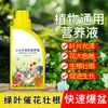 Solución Nutritiva Orgánica de Molécula Pequeña para el Hogar, Fertilizante Universal para Plantas, Agente Regenerador, Fertilizante para Flores, Fertilizante para Macetas de Plantas Verdes