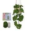 Paquete de Materiales de Crochet Más Vendido de Amazon Serie de Plantas Adornos de Flores en Maceta Regalos Soporte Dropshipping