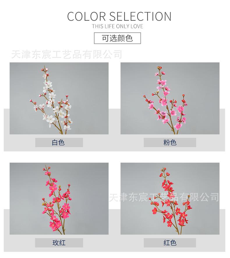 详情_02.png