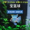 Decorações para Aquário para Peixe Anjo, Guppy, Peixe Betta, Peixes Tropicais e Peixe Guppy, Fornecimento Direto do Mercado de Peixes