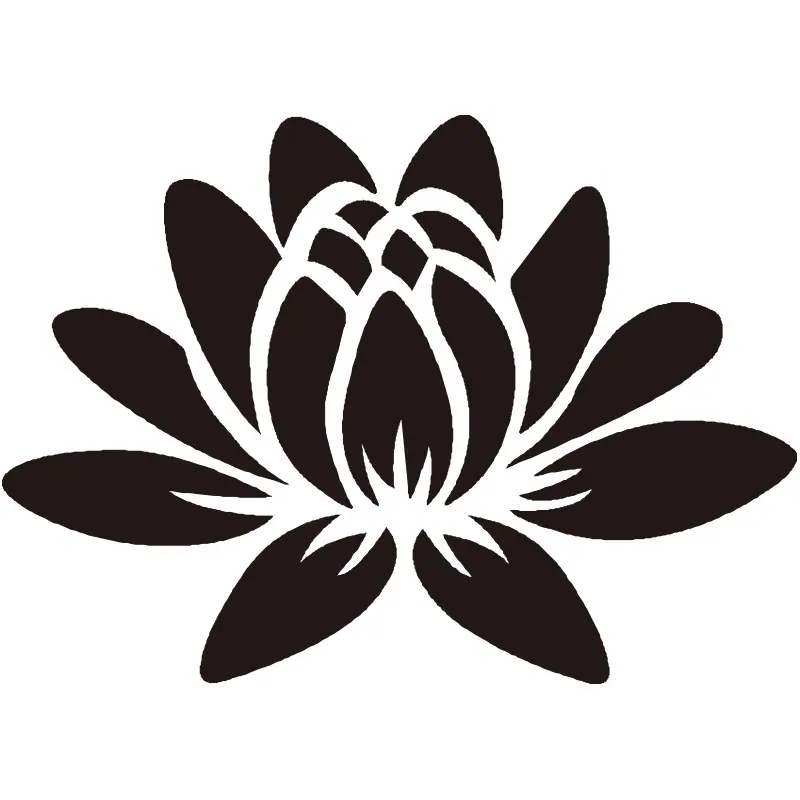 60荷花.jpg