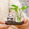 Decoração de Casa Estilo Chinês Panda Rabanete Verde Vaso Hidropônico Arranjo de Flores Vidraria Decoração de Mesa Vaso de Planta Presente