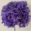 Flor Eterna Folha Pequena Hortênsia Anna Flor Seca Flor Real Estilo Escandinavo Props para Fotos Ins Buquê de Casamento Pronto Decoração