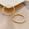 Nuevos Pendientes Grandes Exagerados Estilo Europeo y Americano Versátiles Clavos de Oreja de Plata 925 Círculo de Pedrería Pendientes de Moda Pendientes de Aro para Mujer