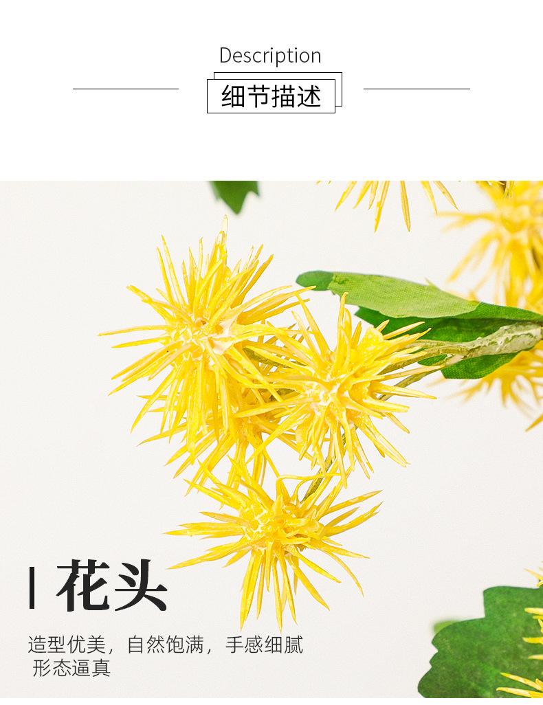 GY3284详情图