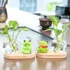 Novo vaso hidropônico de pesca para animais de estimação fofos, vaso de flores de vidro para plantas verdes criativas, ornamento de decoração para mesa de escritório