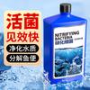Bacterias Nitrificantes Pecera Especial Peces Digestión Purificación Calidad del Agua Peces No Fármaco Estabilizador Purificador de Agua Bacterias Nitrificantes