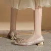 Jin Gang CH3022-1 Sapatos Femininos de Salto Grosso Bico Fino Camada Única Estilo Francês 2024 Novo Primavera e Outono Salto Baixo Sexy Versátil Boca Rasa
