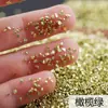 Fragmentos para Uñas de Hot-selling Transfronterizo Múltiples Capas Galvanizados DIY Gotas de Cristal Pegamento Relleno de Grava Pintura de Porcelana Cristalina Arenas Arena Plateada