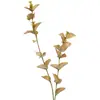 Planta artificial impresión 3D color flor de eucalipto material a juego flor artificial hoja de dinero hoja de flor artificial decoración del hogar