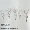 Ramas Secas, Ramas Muertas, Arte de Troncos Estilo Zen, Decoración de Jarrón con Ramas, Ramas, Árboles para Paisajismo