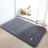 Alfombra de baño de color liso simple, engrosada y absorbente, alfombra de cachemir sintético, venta al por mayor transfronteriza, alfombrilla antideslizante para uso en el baño