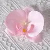 Cabezas de flores artificiales de orquídea mariposa, materiales para flores de pared, materiales para pasadores y accesorios para el cabello hechos a mano para DIY, piezas de flores y accesorios de pétalos para decoración de bodas