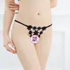 Fabricantes de Ropa Interior Suministro al por Mayor Tanga Sexy Hueca Floral Simple Pantalón T para Mujer 151