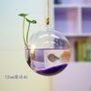 Pecera colgante creativa, jarrón hidropónico de vidrio transparente para colgar en la pared del dormitorio y la sala de estar, manualidades decorativas
