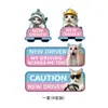 Stickers reflectantes nuevos para coche de comercio exterior transfronterizo, diseño de gato con expresión de caricatura, adecuados para conductores novatos, calcomanías divertidas y humorísticas para coche