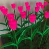 Luminous Tulip Lamp Floor Lamp Outdoor Floor Lamp impermeável Lanterna Park Square Lighting Project Candeeiro Gramado Decorativo