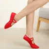 Zapatos de Baile Niños Adulto Zapatos de Doble Suela Zapatos Garra de Gato Zapatos de Ballet Venta al por Mayor Zapatos de Baile Mujer Suela Suave Cordones Gratis