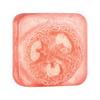 Beleza da imagem esponja de luffa de limão sabonete com óleo essencial sabonete artesanal sabonete de banho de limpeza com sal marinho de rosa fábrica atacado