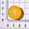 Accesorios de Resina de Frutas 3D para Manualidades DIY: Pinzas para el cabello, Llaveros, Colgantes, Fundas para teléfono