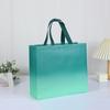 Bolsa de ropa no tejida en stock, bolsa de compras para tienda de ropa con logotipo impreso personalizado, bolsa no tejida recubierta, bolsa de regalo