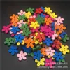 Botões de madeira com estampa de flor de ameixa de cinco pétalas colorida de proteção ambiental de fábrica, botões de flor de ameixa de desenho animado com dois furos, botões artesanais para DIY