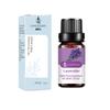 Planta Aceite Esencial Puro Único Al Por Mayor Transfronterizo Aromaterapia Masaje Aromático Cuidado de la Piel Materias Primas Químicas Diarias Aceite de Lavanda y Rosa