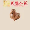Accesorios de Caballo Tang de Sándalo Amarillo, Adornos de Caballo del Zodiaco de Sándalo Verde y Sándalo Morado Yiming Xianyuan con Agujeros Superiores e Inferiores, Accesorios Pequeños