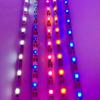 Venda Direta da Fábrica 5mm 5V 60 LEDs por Metro Caixa de Bateria Fita de LED Brinquedos Artesanato Caixa de Presente Fita de LED Autoadesiva