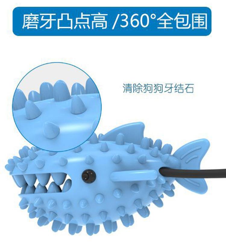 鲨鱼_09.jpg
