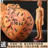 Molde de práctica de acupuntura escala extra grande figura corporal de silicona cobre pegamento blando cuerpo punto de acupuntura modelo muñeca piel