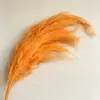 Atacado de Grama Eterna do Fabricante para Casamento e Decoração de Casa DIY Materiais Florais, Grama de Cabelo Longo para Flores de Arte Penduradas