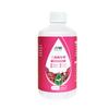 Solución Nutritiva Especializada para Buganvilias, Fertilizante de Floración para Uso Doméstico, Fertilizante Estimulante de Flores para Plantas en Maceta, Fertilizante Compuesto Promotor de Flores para Cultivo de Flores, Al por Mayor