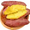 2 Libras de Camotes Pequeños Fragantes, 10 Camotes, Camotes de Castaña, Camotes Amarillos Frescos, 5 Verduras, Camotes de Miel, Camotes de Tierra Arenosa