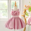Conjunto Novo Transfronteiriço de Vestidos Infantis, Vestidos de Suspensório com Flores Grandes Tridimensionais, Vestidos Doces e Fofos de Princesa, Conjunto de Duas Peças