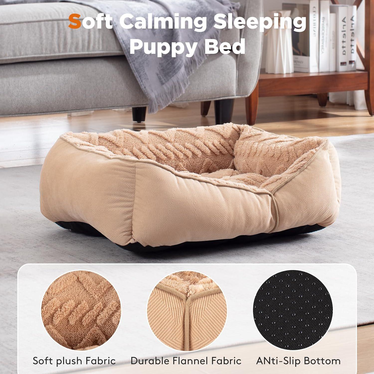 微信图片_20241203145258