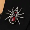 Brincos e Colar Teia de Aranha Escura de Halloween Pedra Gota d'Água Vermelha Acessórios de Festa Incríveis para Mulheres